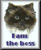 Image Name